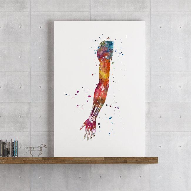 Human Hand Muscles Anatomy Art Watercolor Print