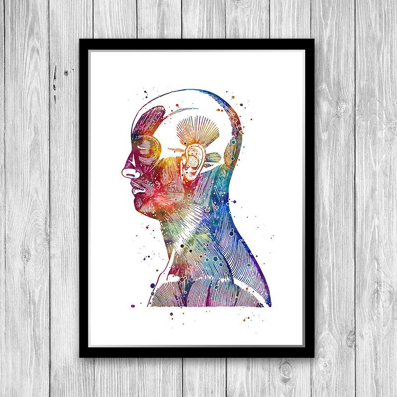 Human Head and Neck Muckles Anatomical Watercolor Art Print