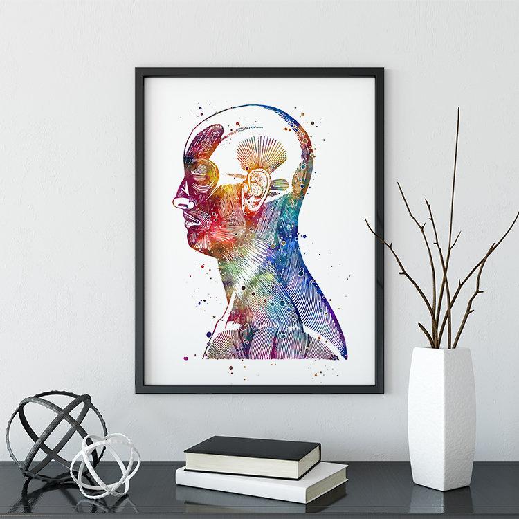 Human Head and Neck Muckles Anatomical Watercolor Art Print