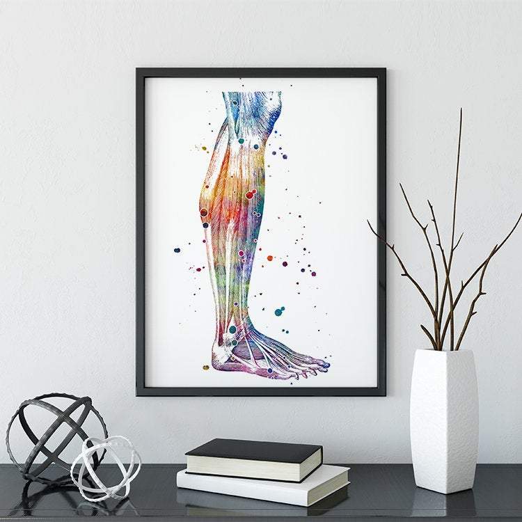 Human Lower Leg, Calf Muscles, Anatomy Art Watercolor Print