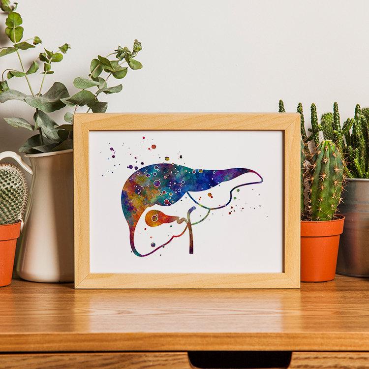 Human Liver and Gall Watercolor Anatomical Art Print