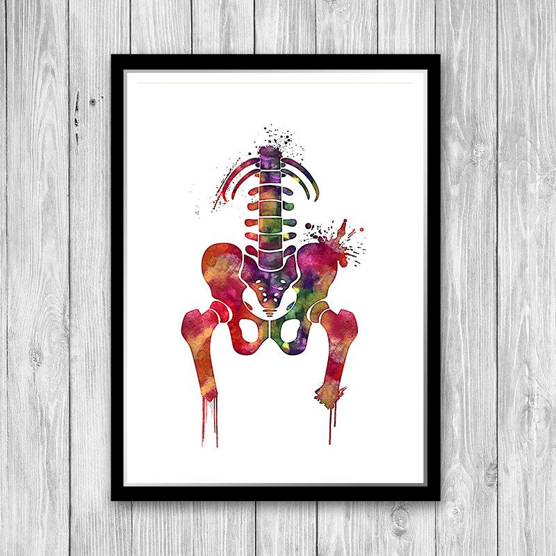 Pelvis Girdle Аbstract Anatomy Watercolor Art Print
