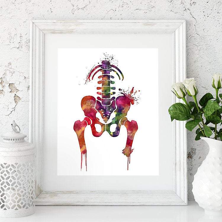 Pelvis Girdle Аbstract Anatomy Watercolor Art Print