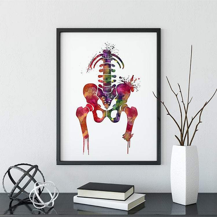 Pelvis Girdle Аbstract Anatomy Watercolor Art Print