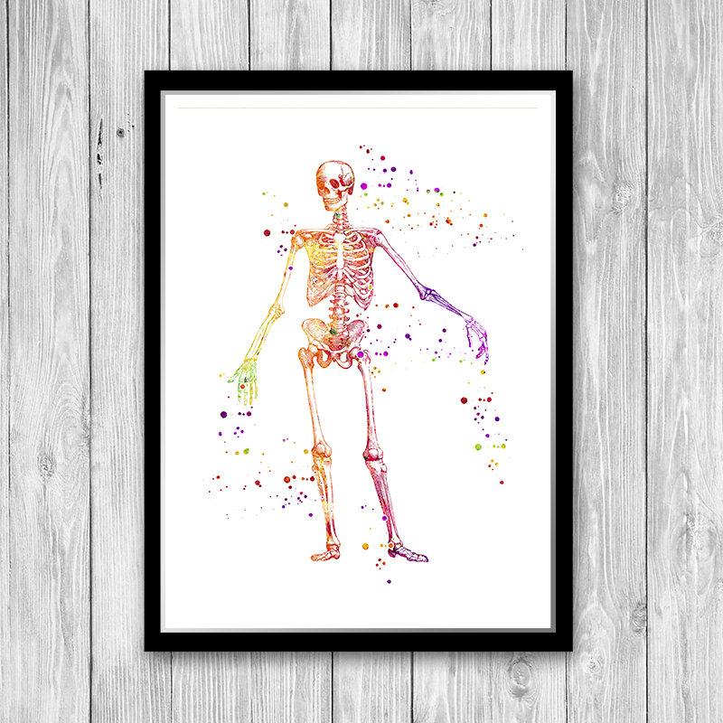 Human Skeleton Anatomy Watercolor Art Print
