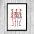 Human Skeletons Watercolor Print