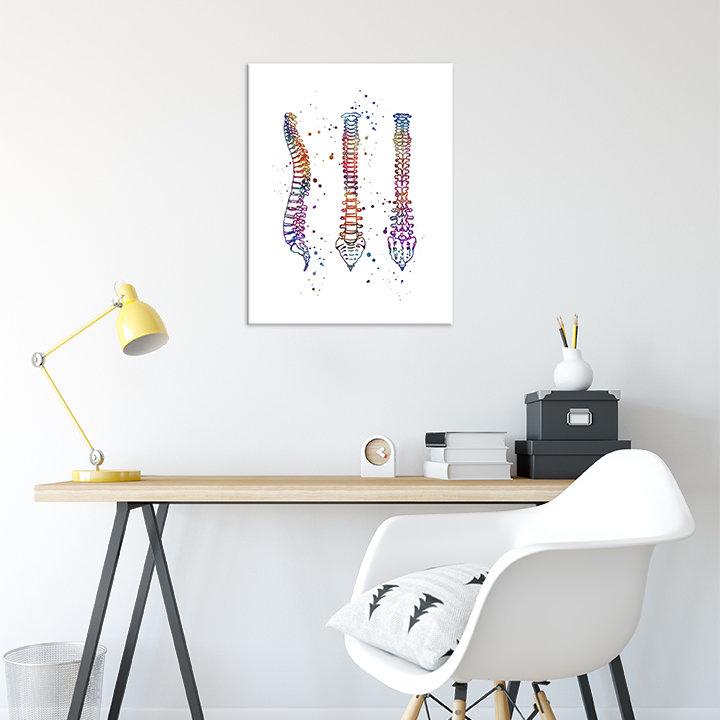 Human Spine Anatomical Watercolor Art Print