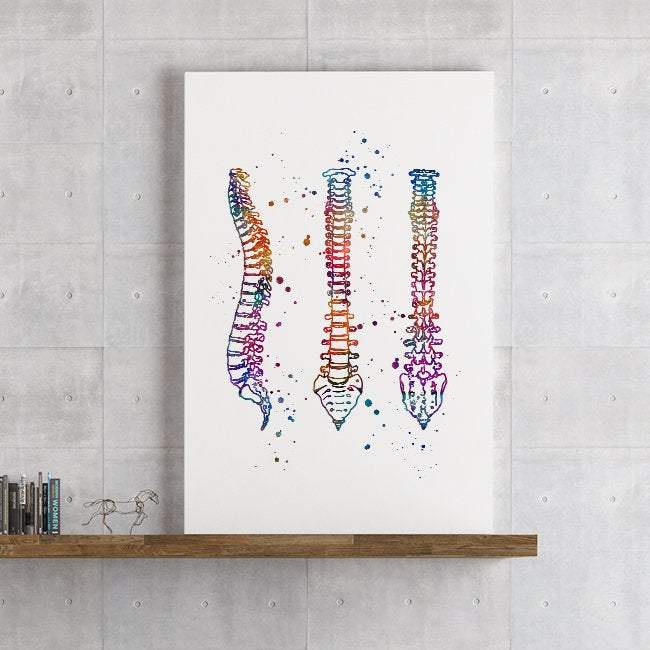 Human Spine Anatomical Watercolor Art Print