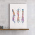 Human Spine Anatomical Watercolor Art Print