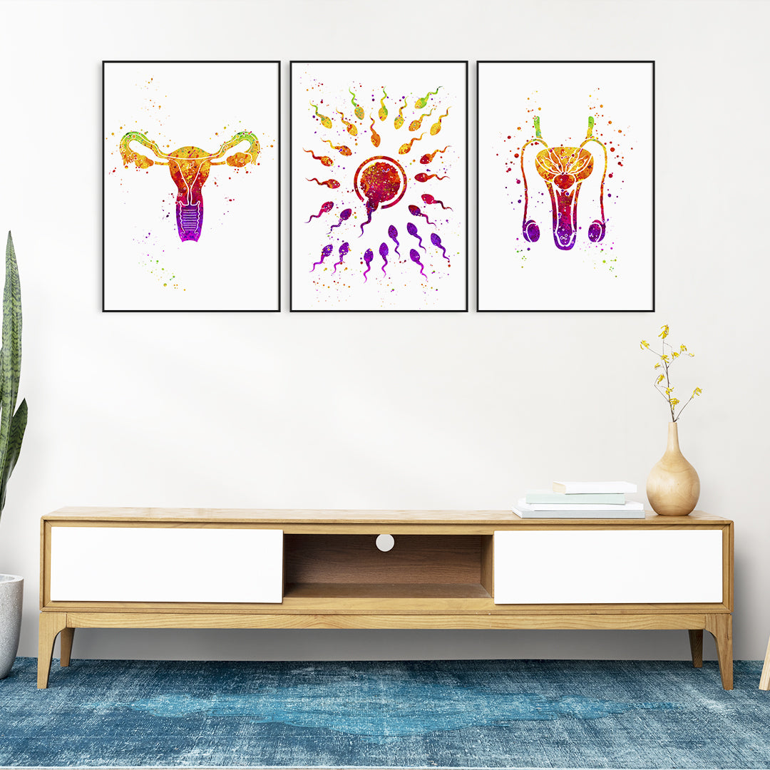 Detailed watercolor print of the fertilization process with male and female anatomy, perfect for fertility clinic decor