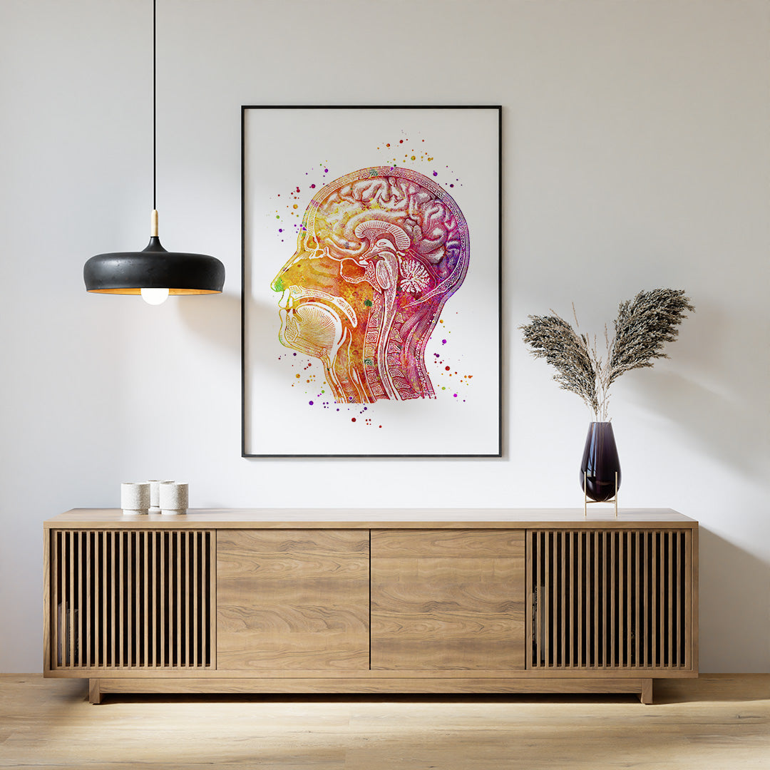 Intricate human head longitudinal section art in watercolor, ideal for medical offices or neuroscience-inspired spaces