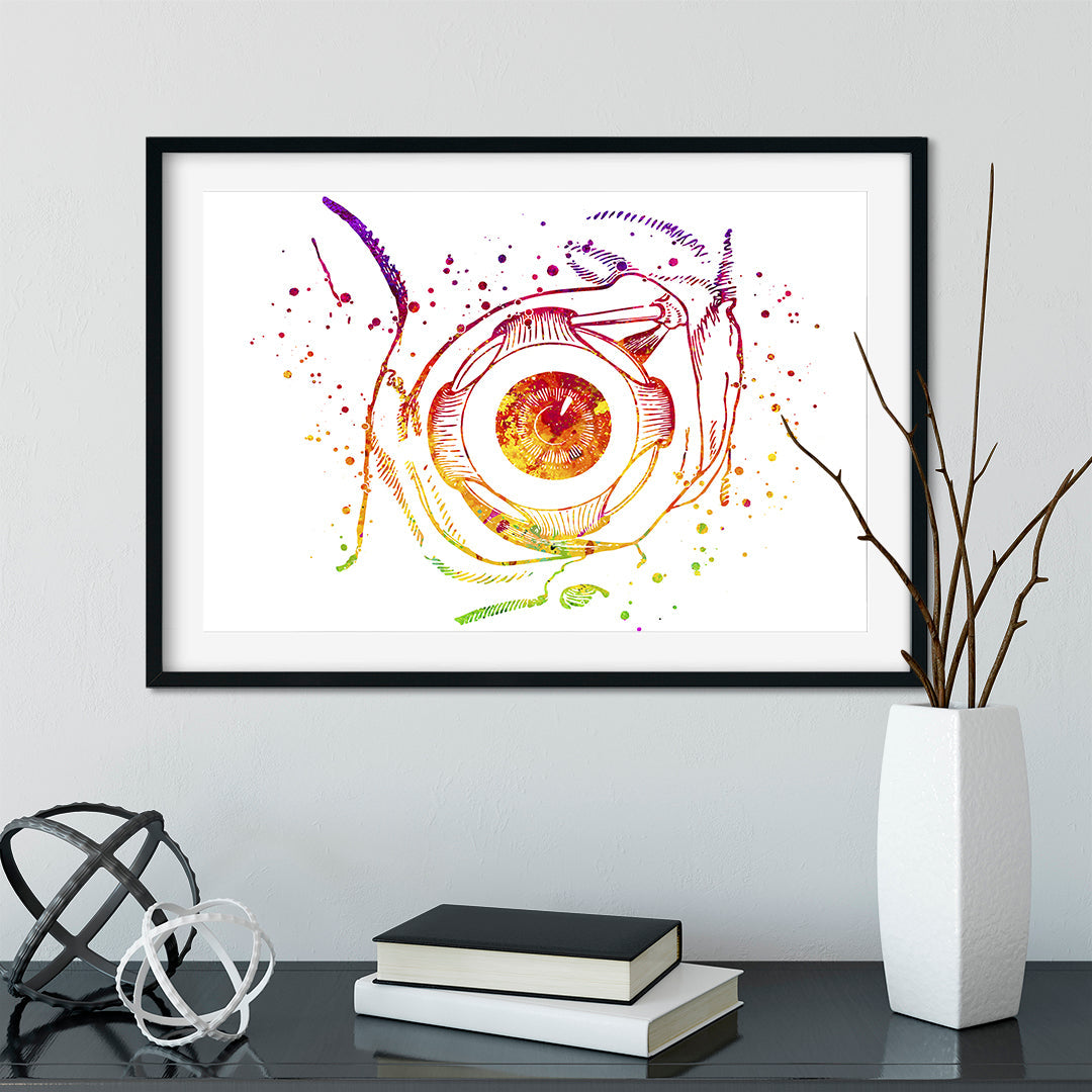Human Eyeball Anatomy Art Medical Poster