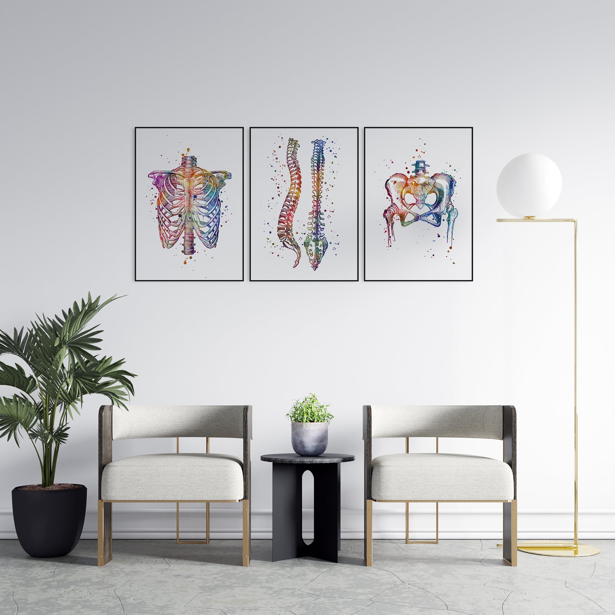 Chiropractic wall art set featuring human anatomy in vibrant watercolor design.