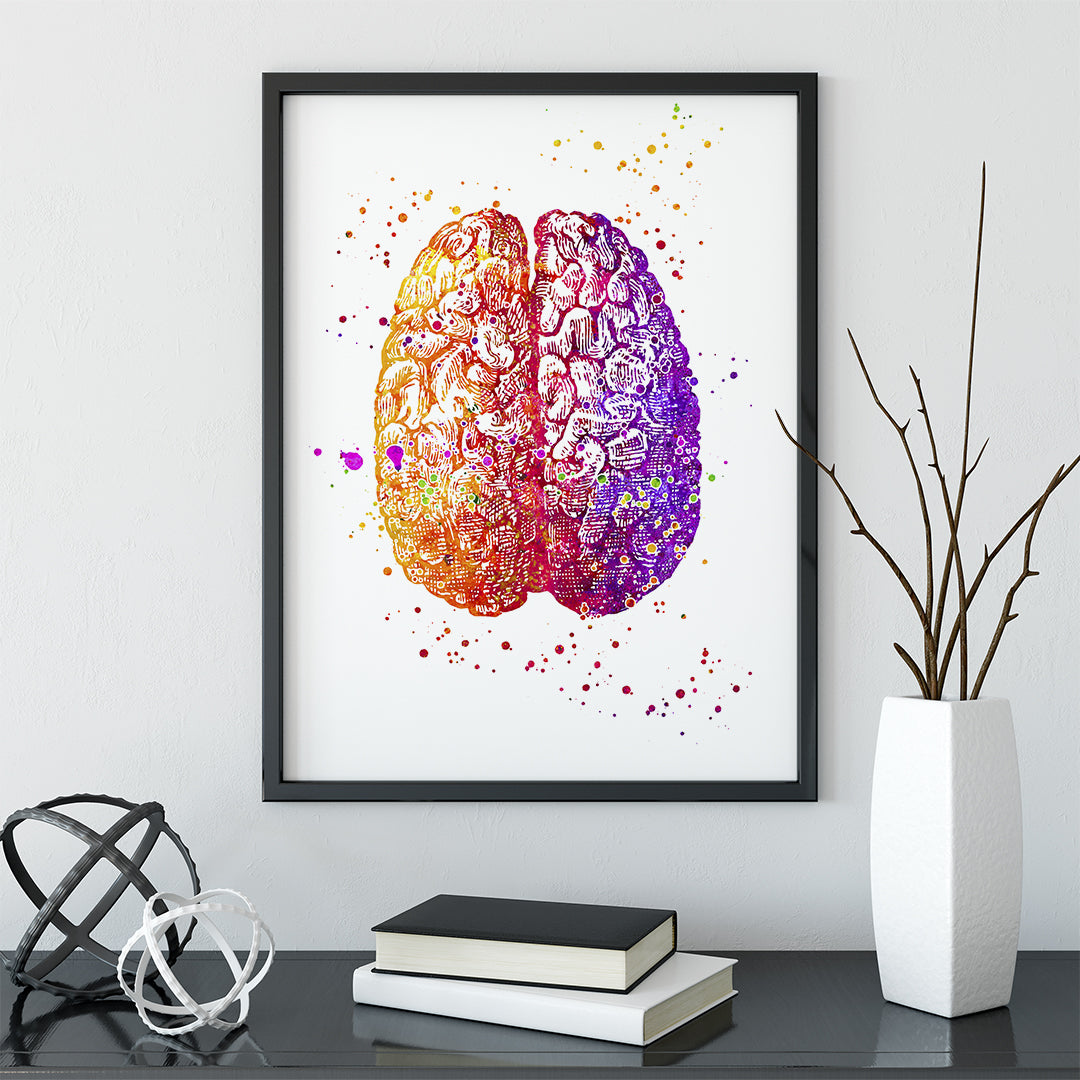 Brain anatomy watercolor print, a thoughtful piece for school psychologist decor, blending art with neuroscience insight