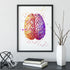 Brain anatomy watercolor print, a thoughtful piece for school psychologist decor, blending art with neuroscience insight