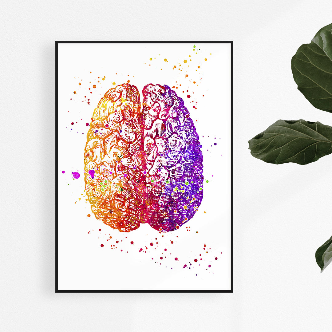 Human Brain Art Print in vibrant watercolor, a unique decor choice for school psychologist offices and educational spaces