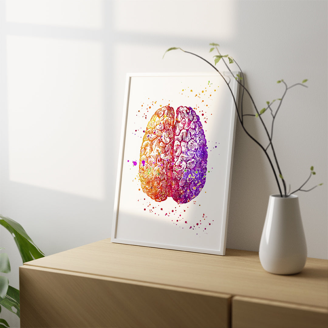 Detailed watercolor print of human brain anatomy, ideal for psychology office decor, adding scientific flair to the room