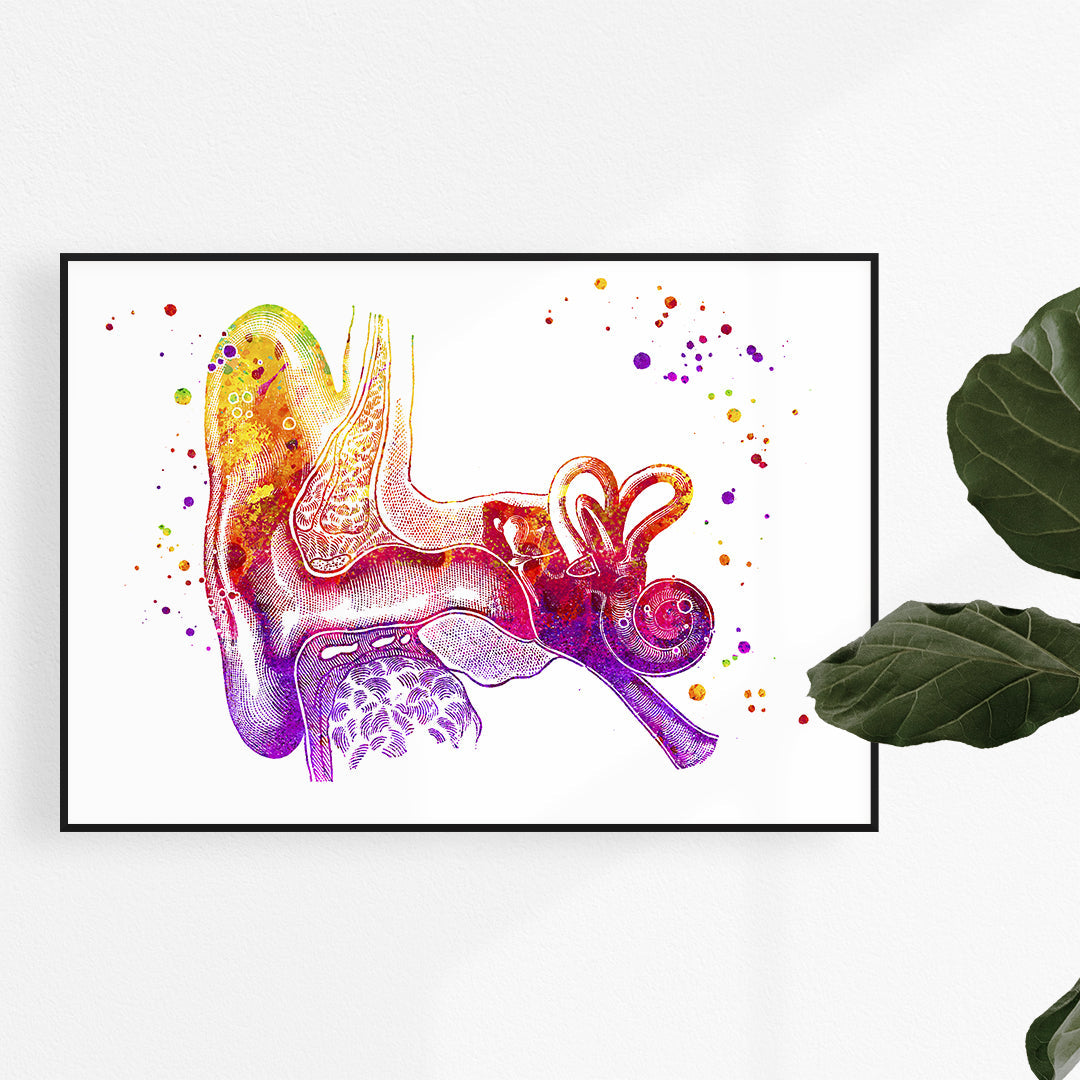 ENT Art Set of 3 Watercolor Prints