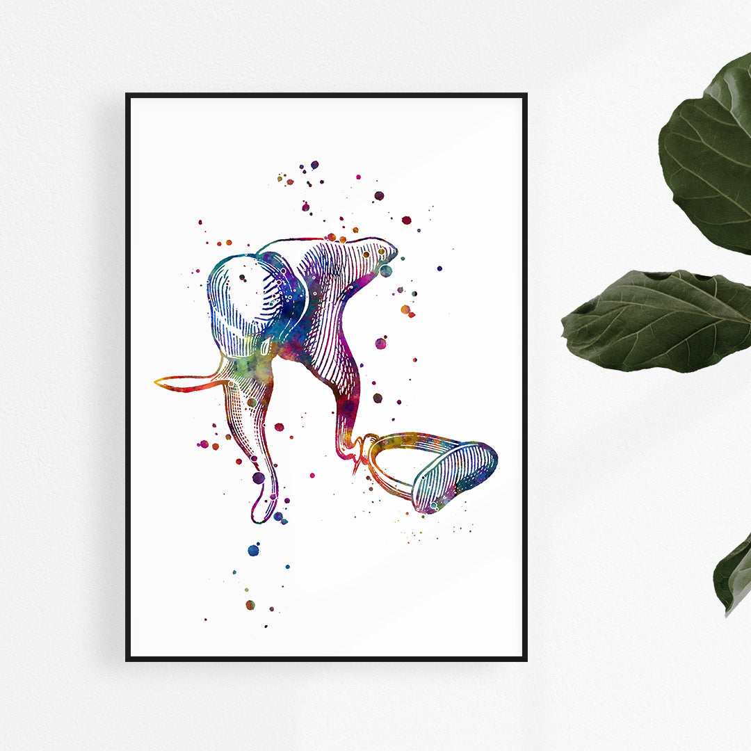 Colorful watercolor print of human ear ossicles, showing malleus, incus, and stapes in detail.