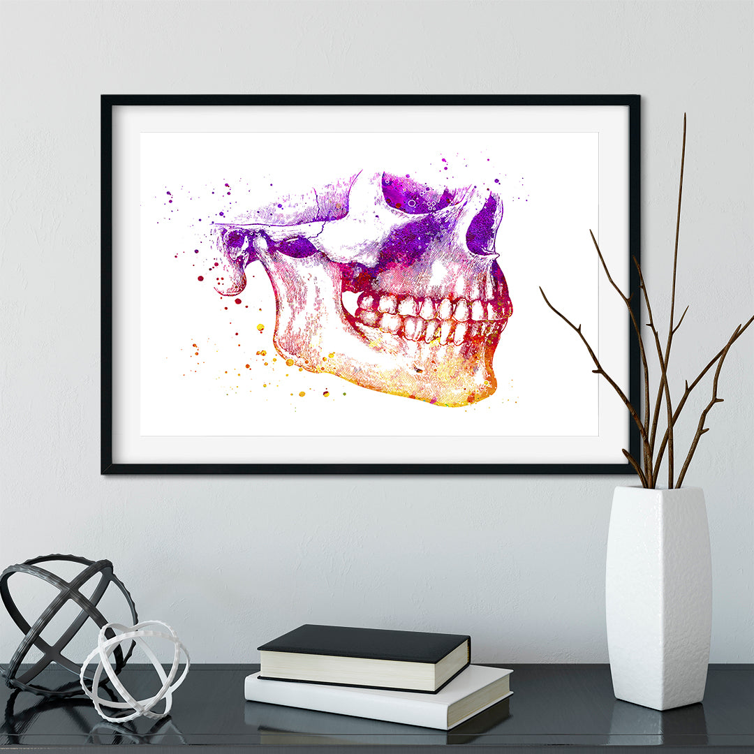 Human Jaw Anatomy Poster for dental school wall decoration and graduation gifts