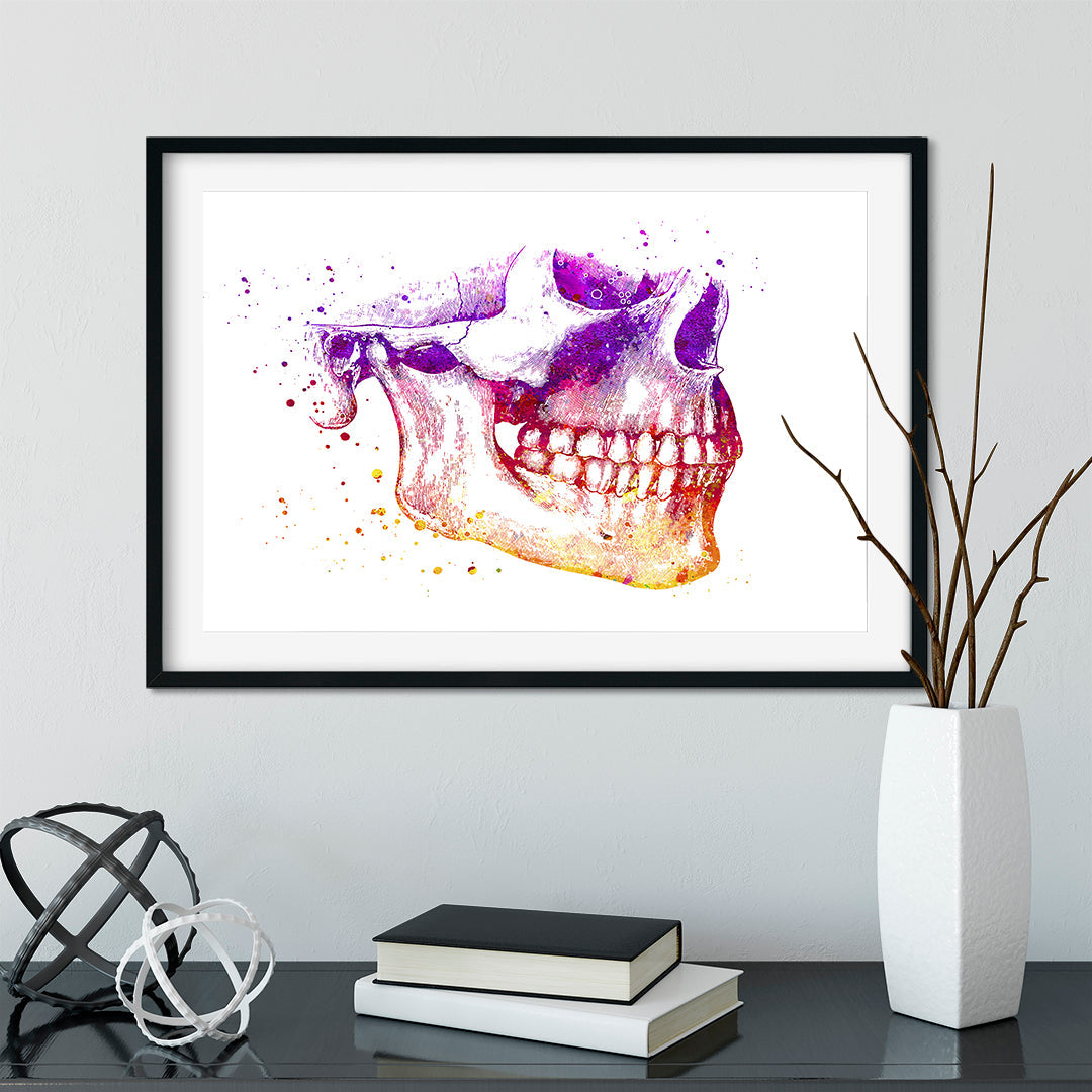 Mandible and Maxilla - Human Jaw Anatomy Art Ptint