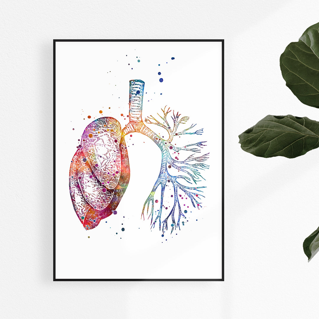 Watercolor human lung anatomy art print, vibrant and detailed, perfect for pulmonology offices or medical education decor