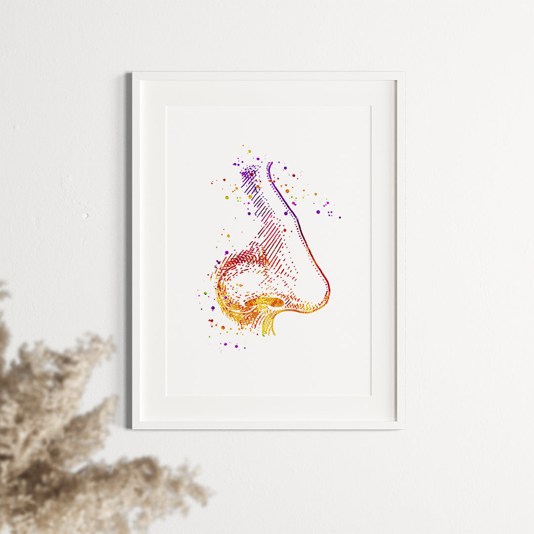 Detailed human nose anatomy watercolor art, great for decorating medical offices, rhinology practices, or educational spaces