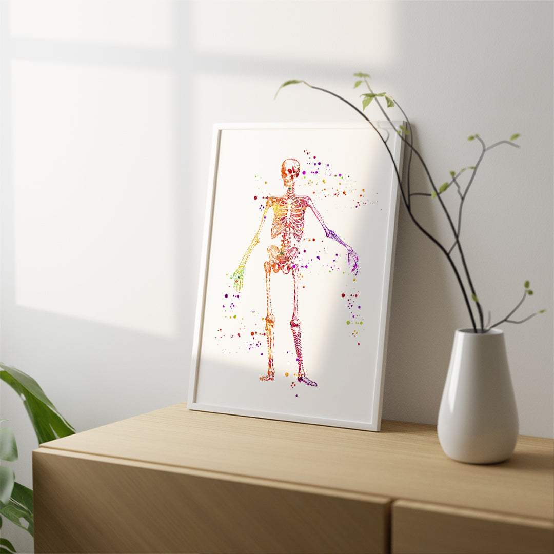 human skeletal system watercolor art print