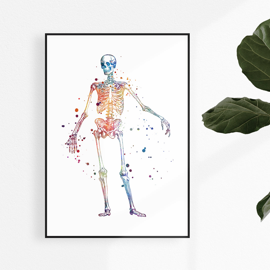 Skeleton Watercolor Print, Chiropractor Office decor