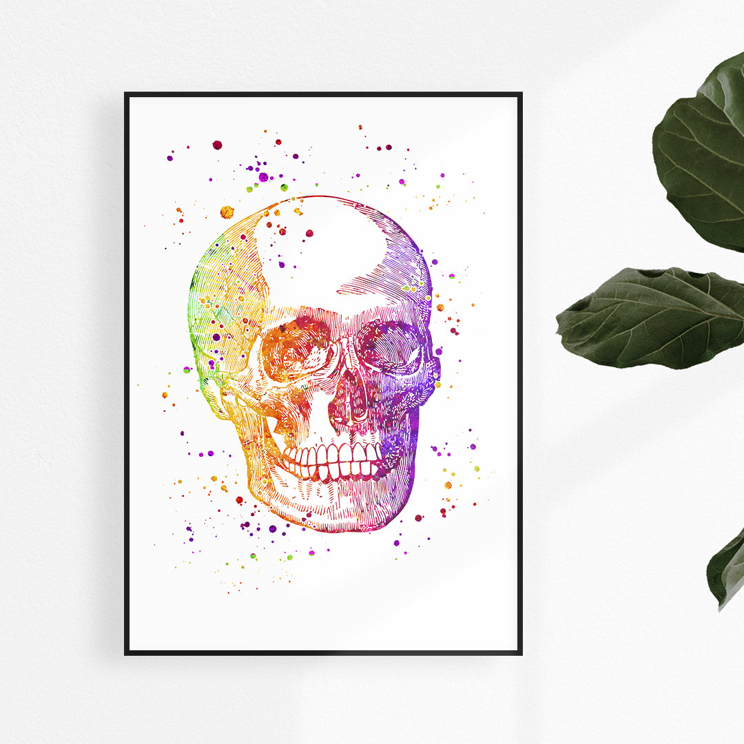 Human skull anatomical watercolor artwork for medical school wall decor