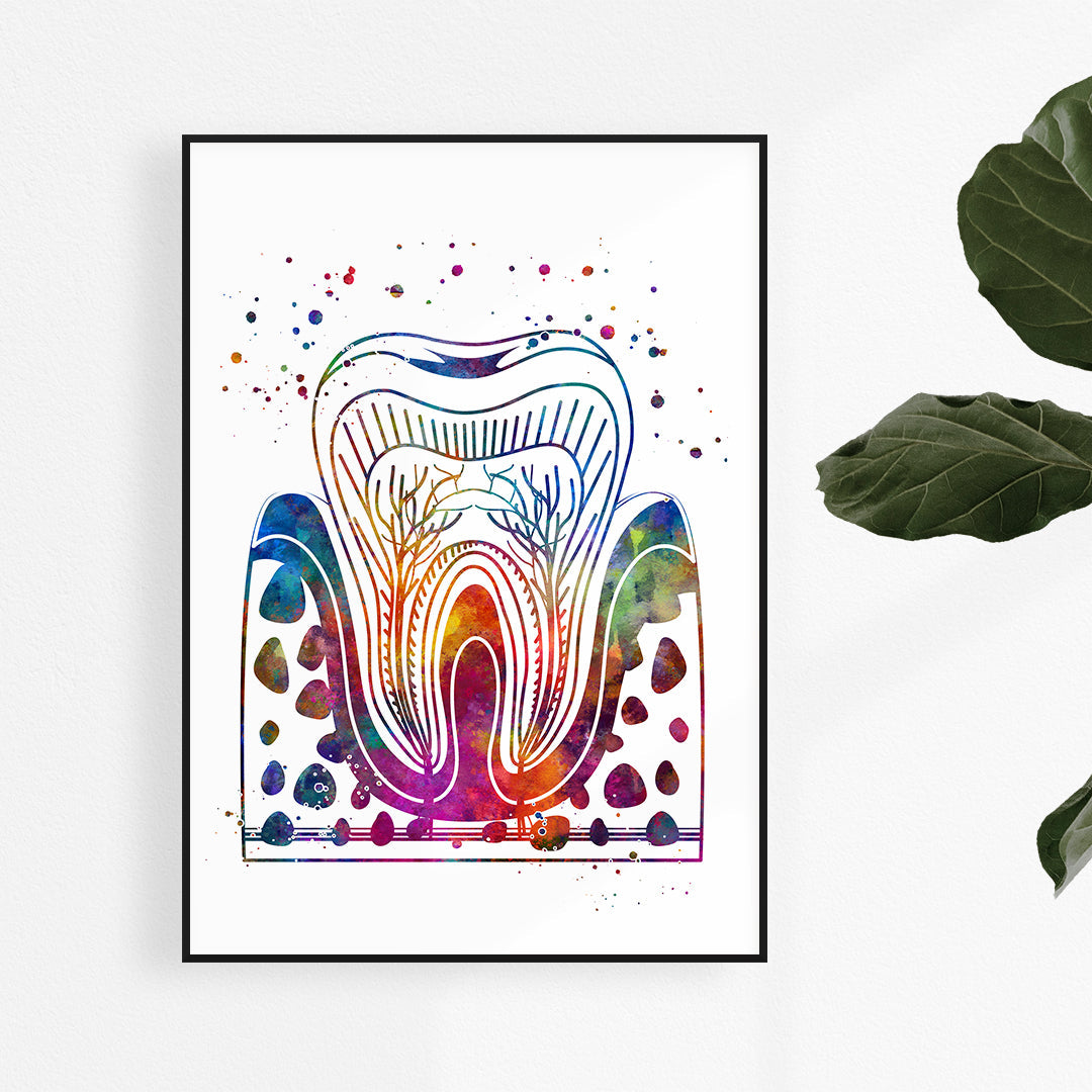 Colorful Molar Tooth Wall Art – Pediatric Dentist Decor