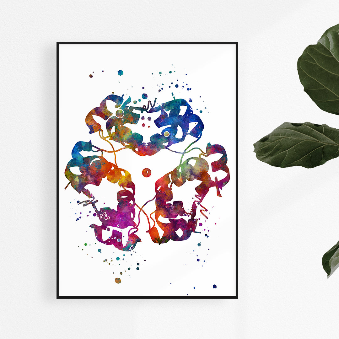 Colorful watercolor print of insulin structure, perfect for endocrinology enthusiasts and medical office decor.