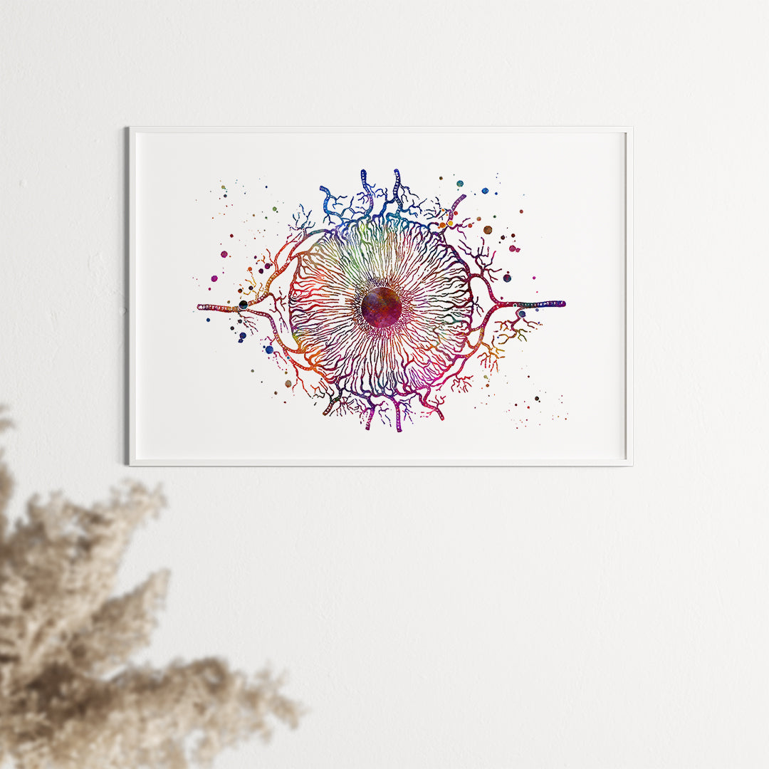 Anatomical watercolor print of the human iris in rich colors, adding intrigue to medical decor.