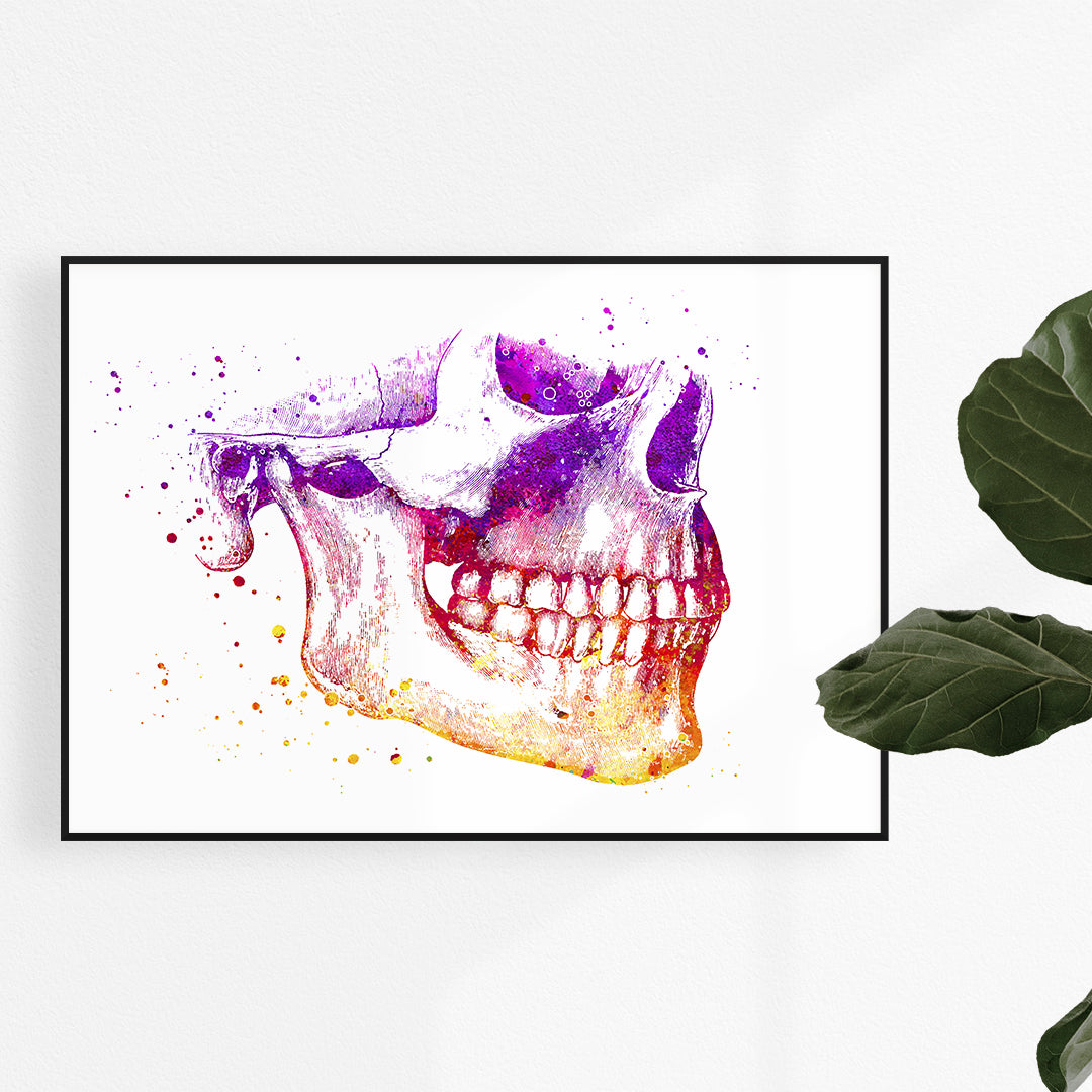 Mandible and Maxilla Anatomy Art Print, Anatomical Artwork Wall Art for oral and maxillofacial surgeon office wall art decor