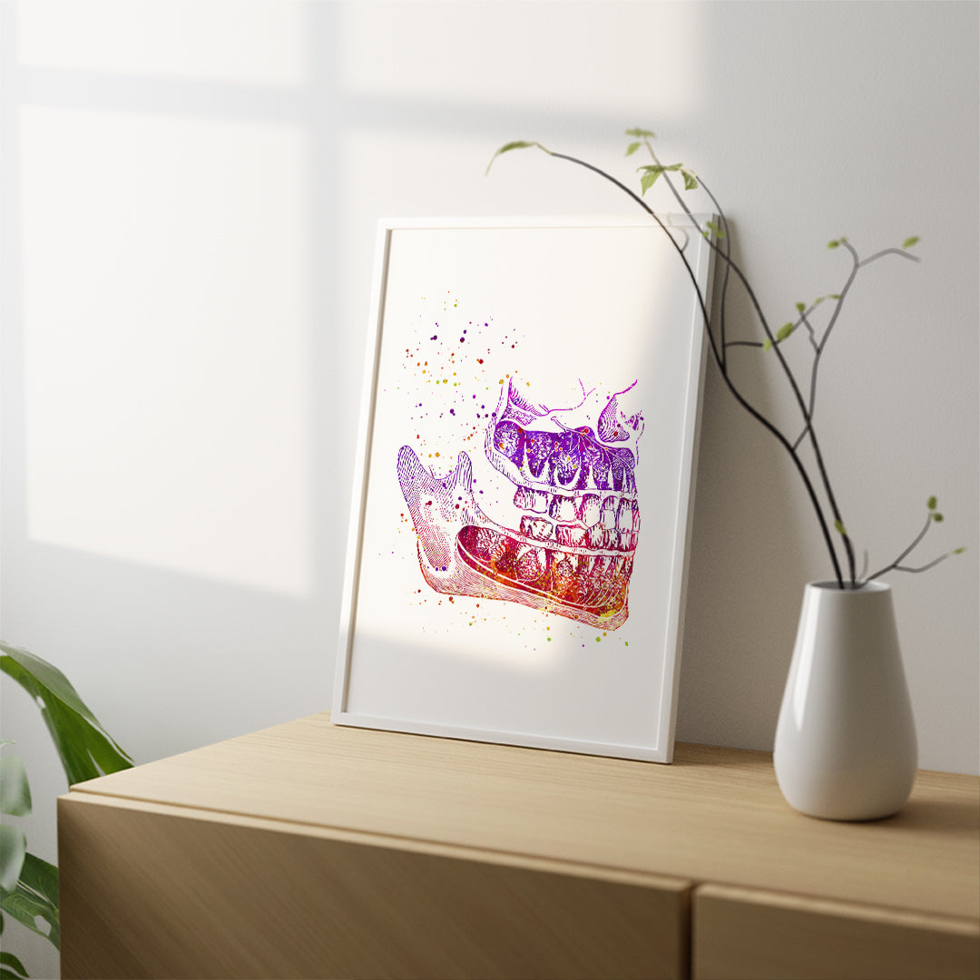 Human jaw anatomical colorful artwork for medical clinic decor