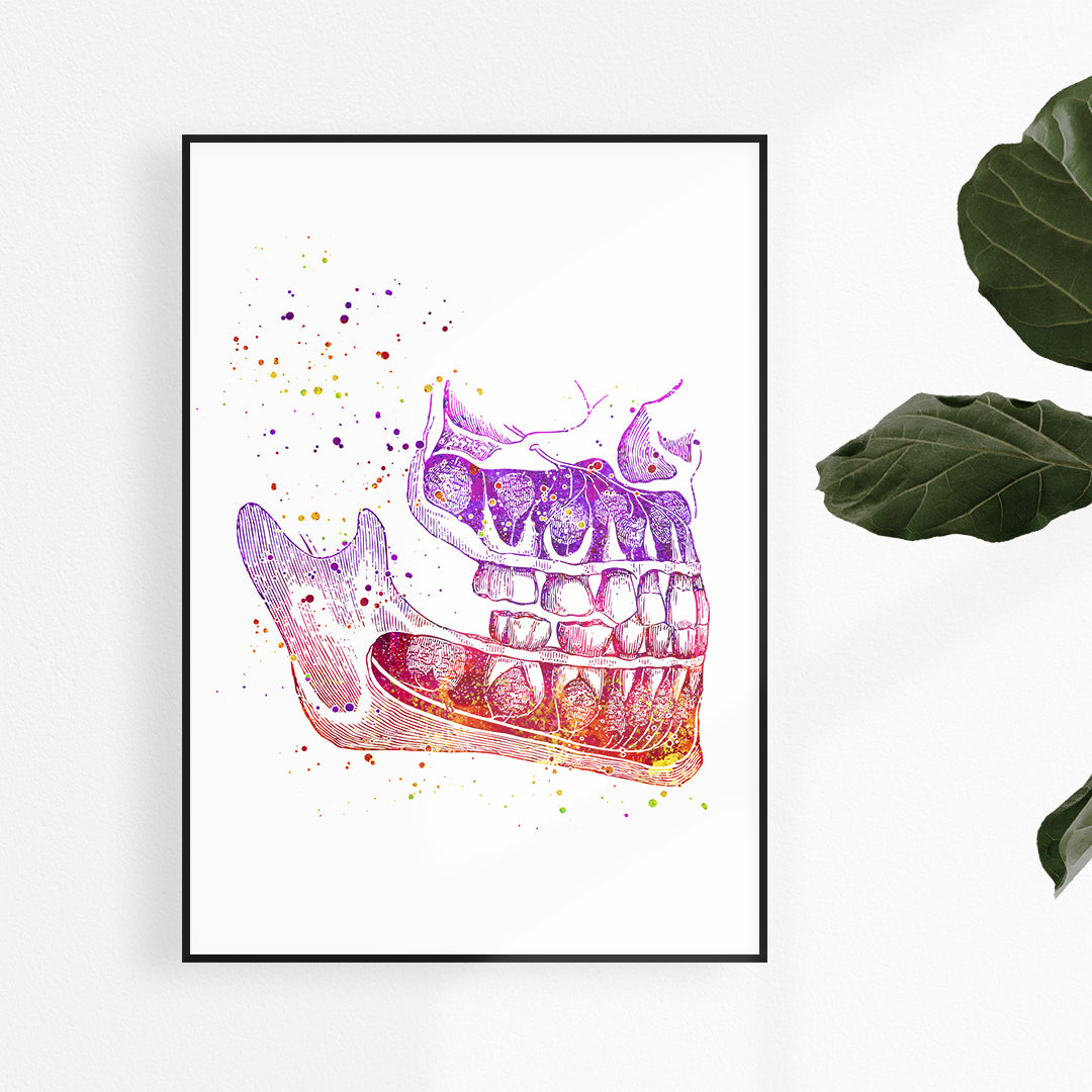 Human Jaw bones and teeth watercolor picture for dentist office decor, Oral surgery clinic wall art decoration, Dentistry school classroom wall hanging