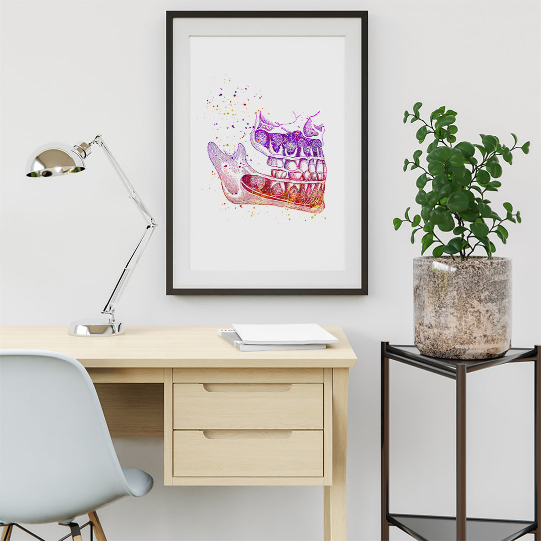 Anatomical Jaw & Teeth Watercolor Print – Dental Wall Art