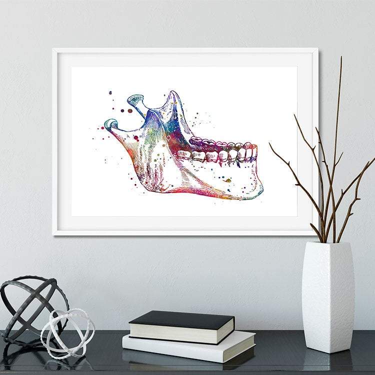 Jaw Anatomy Art – Colorful Mandible Print for Dental Office