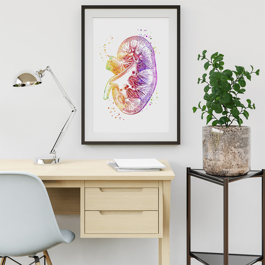 Kidney Art Poster for Urology & Nephrology Clinic Decor