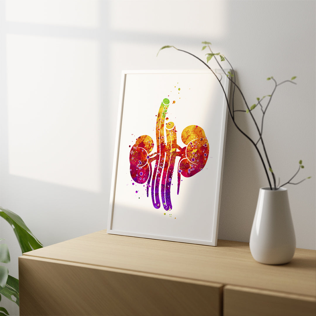 Urology-themed kidneys watercolor art print, perfect for clinic decor, medical gifts, or health-related spaces.