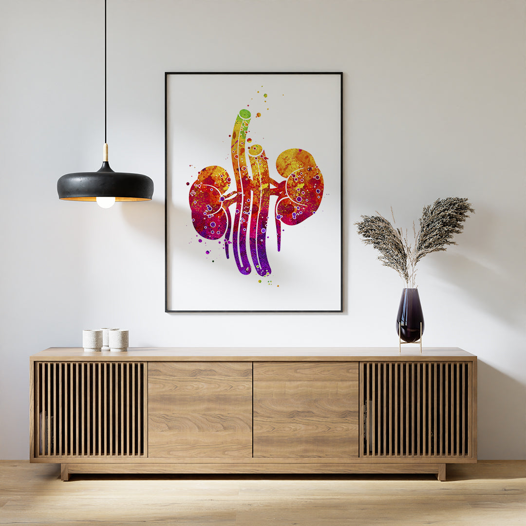 Kidneys anatomy watercolor print, ideal wall art for urology clinics, medical offices, or as a unique gift.