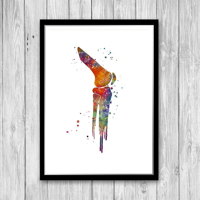 Knee Joint Watercolor Anatomy Art Print