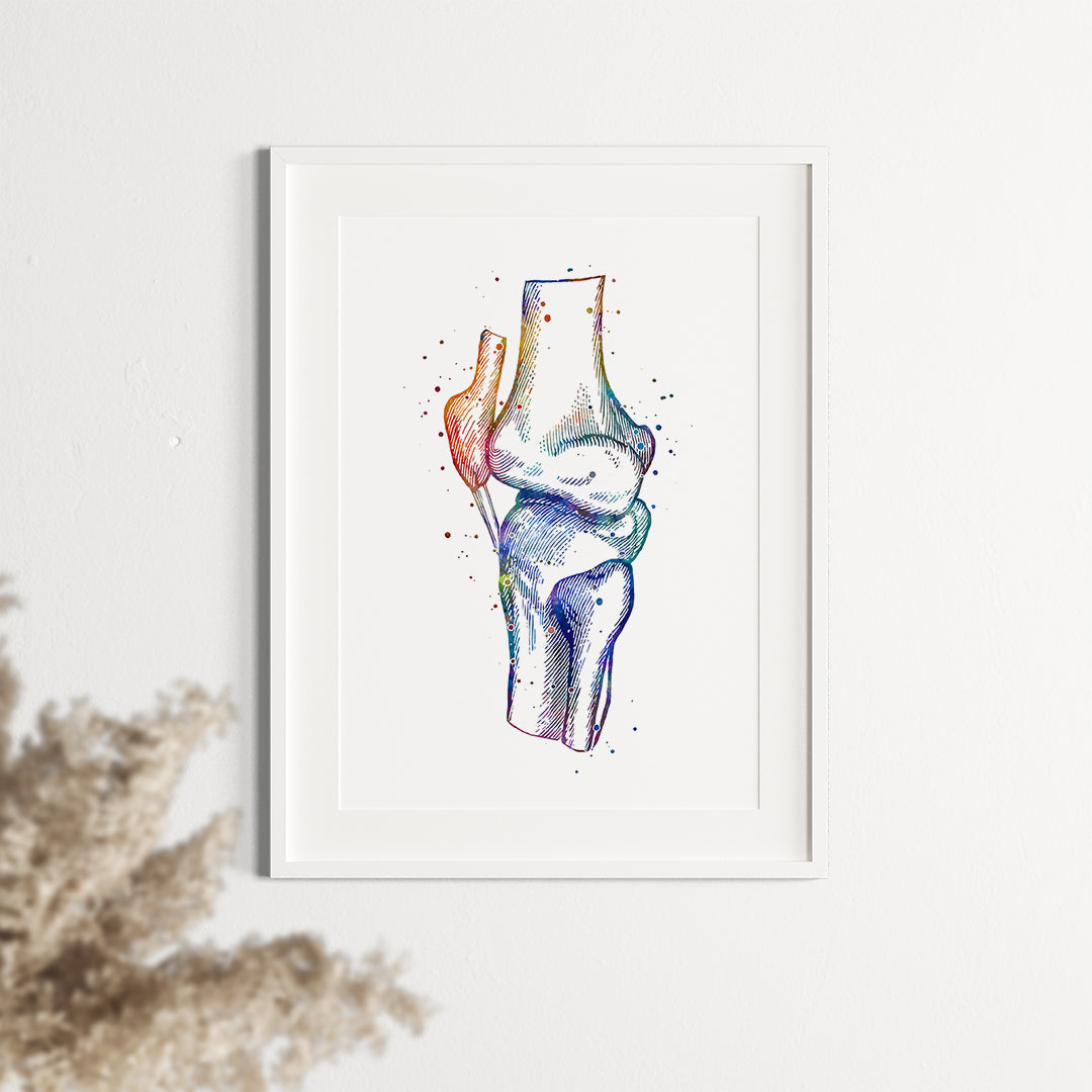 Human Knee Anatomy Art Watercolor Print