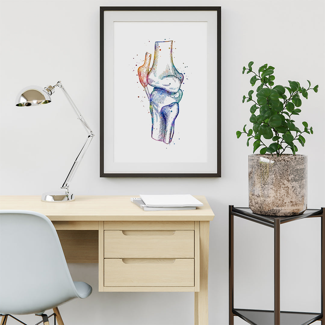 Watercolor human knee art print for orthopedic surgeons.