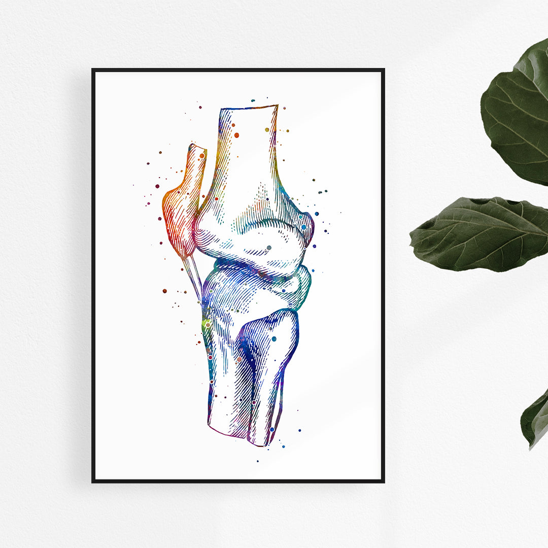 Human knee anatomy watercolor print for orthopedic decor.