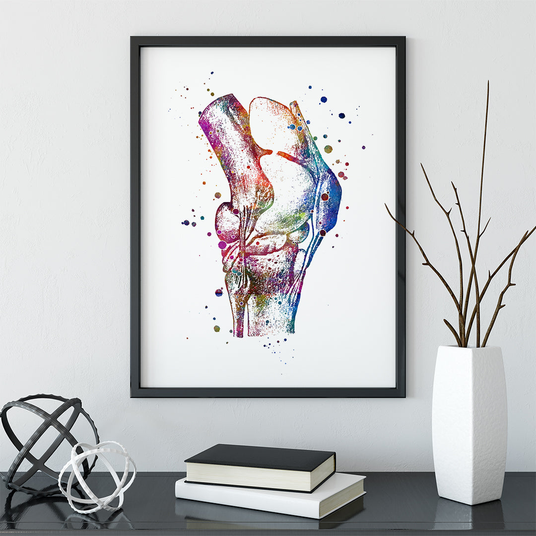 Colorful knee joint anatomy print for medical office or home, great for professionals