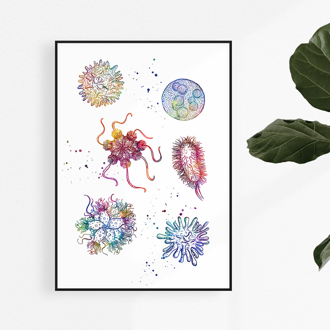 Colorful watercolor art of different bacteria types for microbiology-themed decor in classrooms or labs.