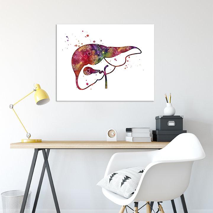 Liver and Gall Anatomical Watercolor Print