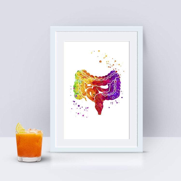 Lower Gastrointestinal GI Tract Watercolor Art Print