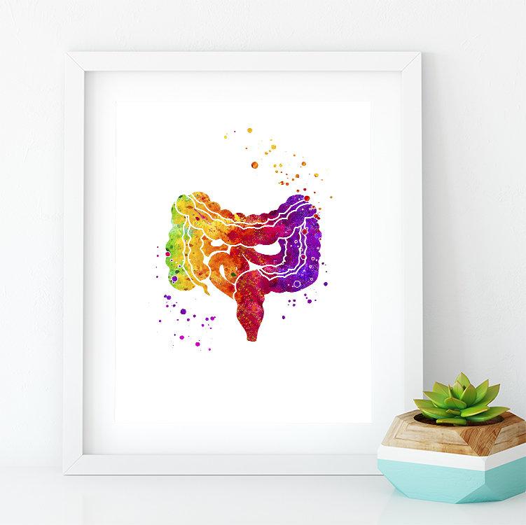 Lower Gastrointestinal GI Tract Watercolor Art Print